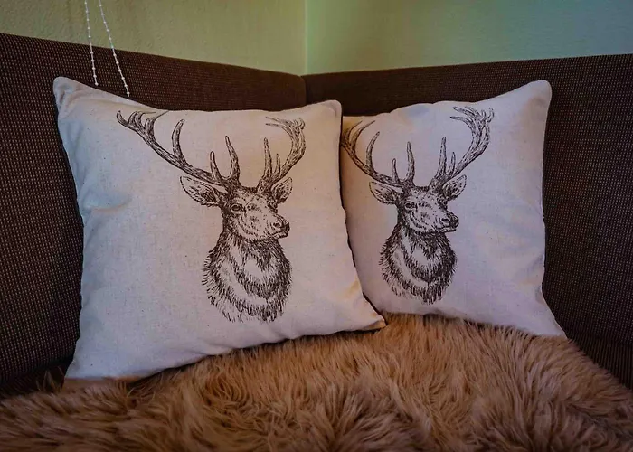 Buehrer Semesterbostad